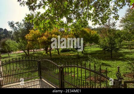 Decorative bridge with forged lattice railings leads to a lawn with trees in the Botanical Garden in the suburbs of Tehran on an autumn sunny day Stock Photo