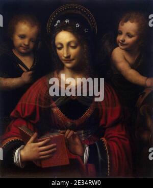 Bernardino Luini - Saint Catherine Stock Photo - Alamy