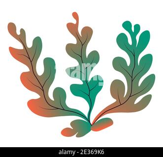 Marine botany and seaweed, decor for aquarium Stock Vector