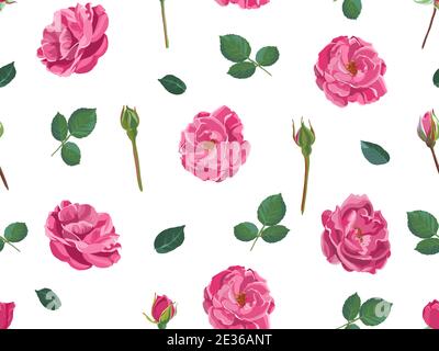 Pink roses with petals and leaves seamless pattern Stock Vector