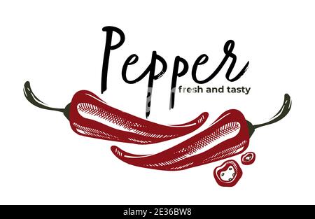 Pepper fresh and tasty herbs and spices vector Stock Vector