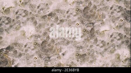 Marble glossy granite slab stone ceramic tile, polished quartz, Quartzite matt limestone. Stock Photo