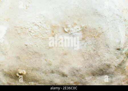 Marble glossy granite slab stone ceramic tile, polished quartz, Quartzite matt limestone. Stock Photo