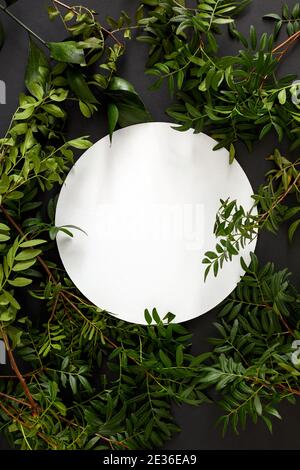 Top view composition with various fresh green foliage arranged around blank white round plate Stock Photo