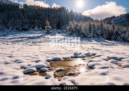 Small puddle of melted white snow in the warm spring sun in the unusual carpathian mountains Stock Photo