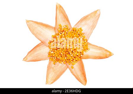 A handful of yellow corn kernels are scattered on dried corn leaves in the shape of a flower isolated on a white background. Stock Photo