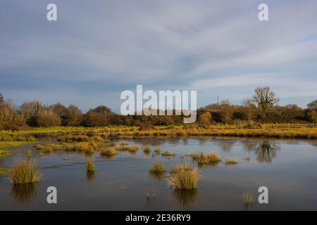 Bowling Green Marsh and River Clyst, Topsham, Devon, England, Europe Stock Photo