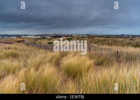 Dunes in Dawlish Warren Spit, Devon, England, Europe Stock Photo