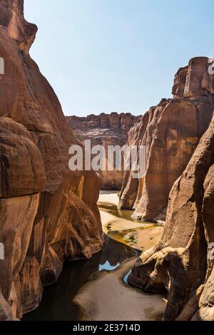 Guelta d'Archei waterhole, Ennedi Plateau, UNESCO World Heritage Site ...