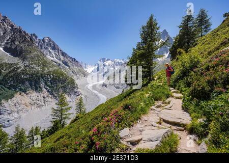 Climber on hiking trail, Grand Balcon Nord, glacier tongue Mer de Glace, behind Grandes Jorasses, Mont Blanc massif, Chamonix, France Stock Photo