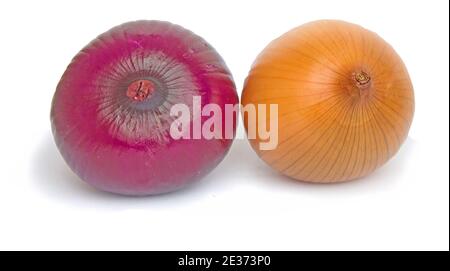 Two Onions   isolated on white background Stock Photo