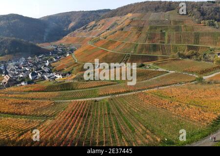 Colourful autumn atmosphere in the vineyards of the Ahr valley, Rhineland-Palatinate, Germany Stock Photo