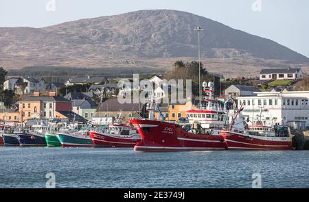 Castletownbere, Cork, Ireland. 16th January, 2021. Trawlers tied up at the quayside in Castletownbere, Co. Cork, Ireland. - Credit; David Creedon / Alamy Live News Stock Photo