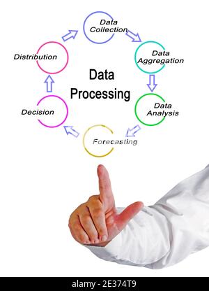 Five components of Data Processing Stock Photo - Alamy