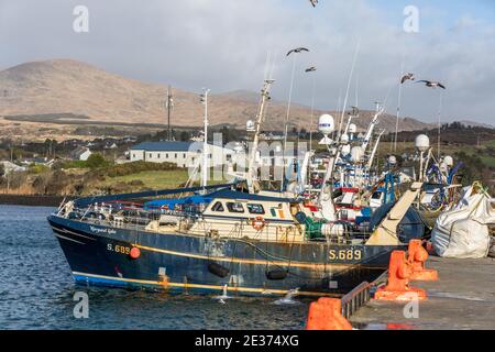 Castletownbere, Cork, Ireland. 16th January, 2021. Trawlers tied up at the quayside in Castletownbere, Co. Cork, Ireland. - Credit; David Creedon / Alamy Live News Stock Photo