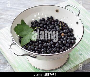 Fresh organic berries black currant in a colander, selective focus Stock Photo