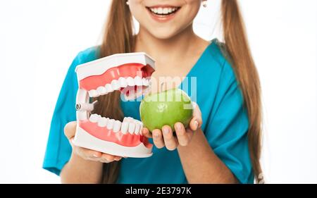 Close-up, model of jaw and a green apple in the girl's hands. Concept of the effect of food on children's teeth Stock Photo