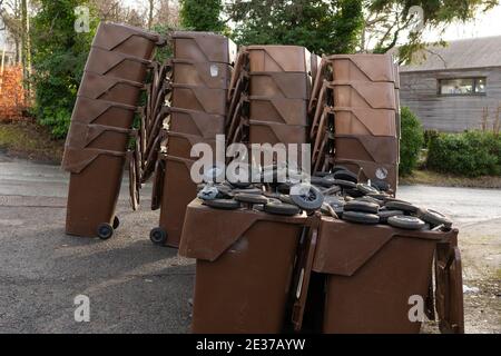 Brown domestic garden waste bins stacked at the side of the road for collection and replacement with new (different design) bins - the wheels are . . . Stock Photo