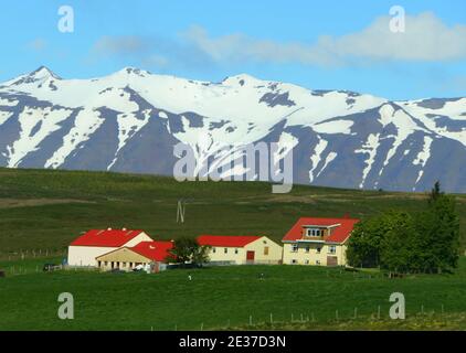 The view of a farmhouse overlooking snowy mountains along the Ring Road during summer near Western Iceland Stock Photo