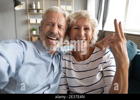 Overjoyed sincere laughing middle aged couple holding video call. Stock Photo
