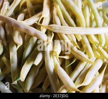 Fried long french beans close up. Stock Photo