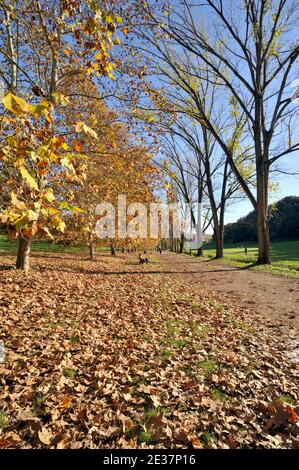 Italy, Rome, Villa Doria Pamphilj in autumn Stock Photo