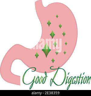 Good digestion stomach vector illustration Stock Vector