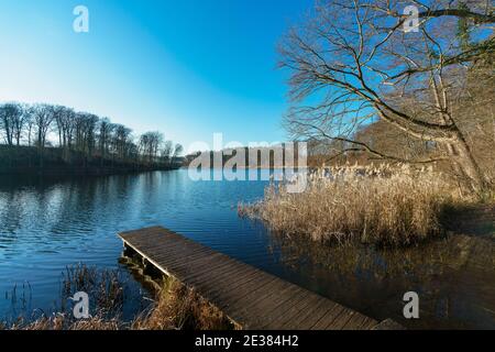 Wooden landing stage at Huwenowsee lake in Meseberg, Brandenburg, Germany Stock Photo