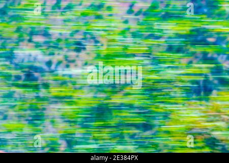 The green forest motion blur background by camera movement. Stock Photo