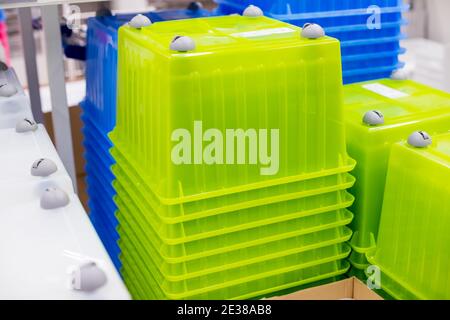 Food storage pans.folded transparent plastic containers Stock Photo