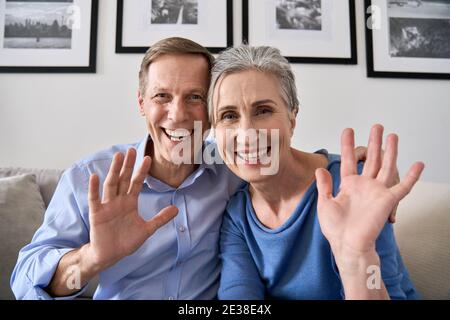 Happy senior couple greeting family making online video call, webcam view.