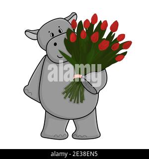 Cute Hippopotamus is holding a bouquet of thirteen closed red tulips. Hippo holds a gift in the form of flowers. Animal is isolated on white backgroun Stock Vector