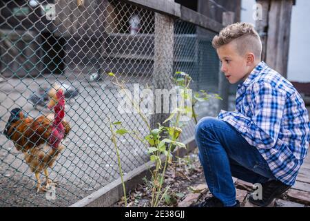 Happy boy spending great time on farm looks at chickens in a chicken coop. Selective focus. Stock Photo