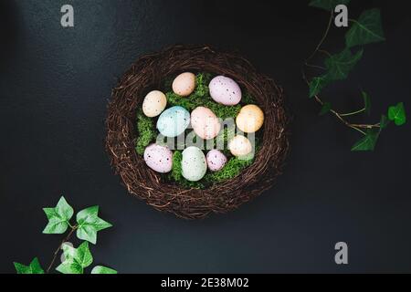 Top view wicker nest with moss and colored Easter eggs on dark background with green leaves. Happy Easter holiday. Muted colors. Flat lay, selective Stock Photo