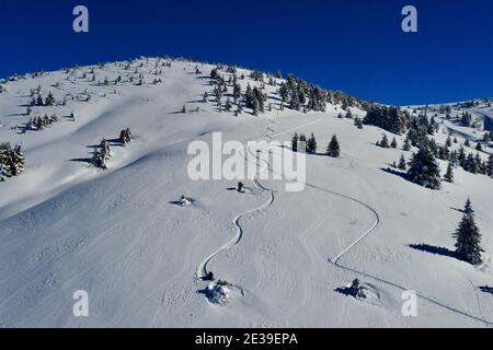 Snowboard tracks in fresh snow from above in French Alps Stock Photo
