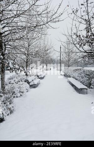 Snowy Ottawa! Scenes from around Ottawa after a fresh dumping of 25cm. Benches by the Aberdeen Pavilion at Lansdowne. Ontario, Canada. Stock Photo