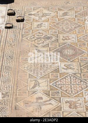 Byzantine mosaic on the floor of Church of St John the Baptist ruins in Jerash (Gerasa), Jordan, Middle East. Floor from byzantine period with mosaic. Stock Photo