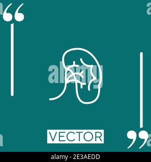 kidney vector icon Linear icon. Editable stroke line Stock Vector
