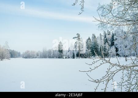 Beautiful atmospheric winter landscape. Snow covered trees on the lake. Winter nature background.