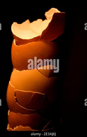 A colorful stack of light brown eggshells are sharply lit from above in front of a dark background. Stock Photo