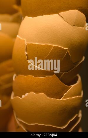 A towering stack of cracked egg shells show a variety of pastel colors. The shells are reflected in a mirror, giving the appearance of a second stack. Stock Photo