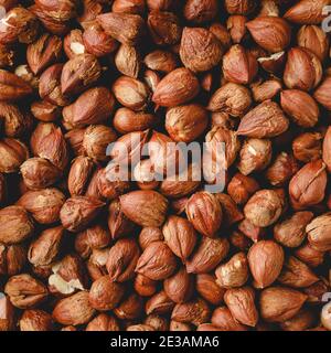 Fresh organic ripe hazelnuts in a pile top view full frame healthy food seed and snack concept Stock Photo