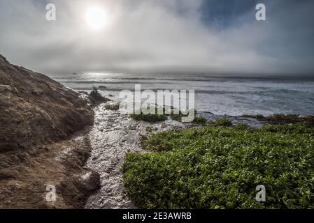 The view from the top of Alamere falls, a rare tidefall waterfall in California where the freshwater cascades off a cliff and into the Pacific Ocean. Stock Photo