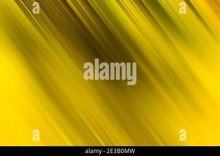 Modern yellow tilted motion blur lines abstract background Stock Photo