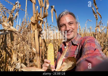 Smiling Farmer Holding Ripe Corncob and Using Cell Phone Camera for Making a Selfie Photo. Close up Shot. Harvest Time. Stock Photo