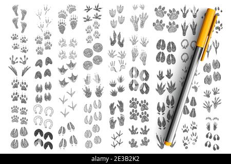 Footprints and handprints doodle set. Collection of hand drawn prints of foot and hands go human, mammals, birds, pets, reptiles isolated on transparent background Stock Vector