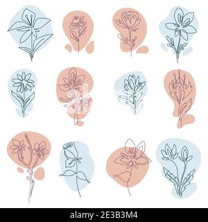 Floral decoration, flowers in bloom, line art Stock Vector