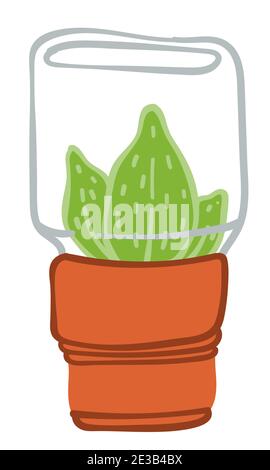 Houseplant with glass container, mini orangery Stock Vector