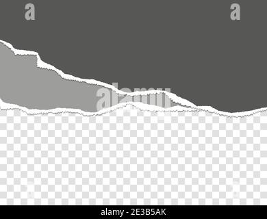 Ripped paper. Torn, ripped pieces. Vector illustration. Stock Vector
