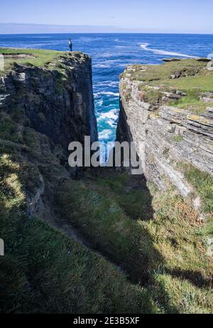 A woman standing on the cliffs overlooking the sea on the coast of the Brough of Birsay, Orkney, Scotland Stock Photo